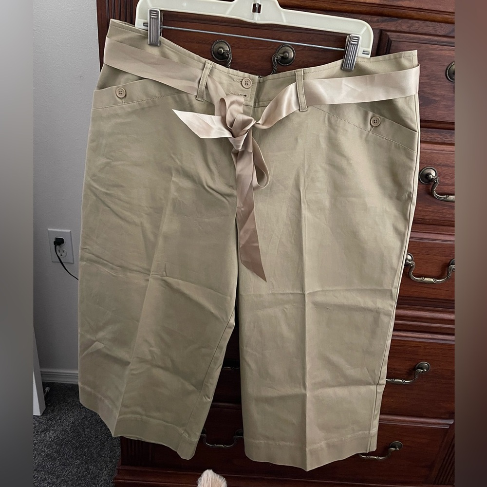 Lane Bryant plus size pants.  Wide leg.